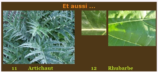 Et aussi