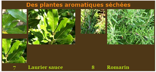 Plantes aromatiques