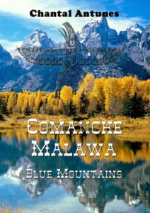 Comanche Malawa Blue Monntains