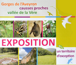 Exposition Pays Midi Quercy