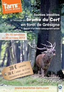 Brame du Cerf en Forêt de Grésigne
