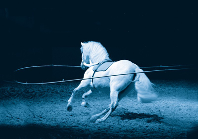 Fête du Cheval à Monclar de Quercy (82)