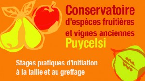 Taille et Greffe : Stages pratiques au Conservatoire  ... à Puycelsi (81)