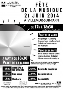 Fête de la Musique 2014 à Villemur sur Tarn (31)