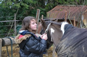 Les enfants adorent les chevaux ! 
