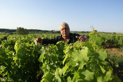 les pigeonniers et la vigne, un beau mariage pour Robert PLAGEOLES