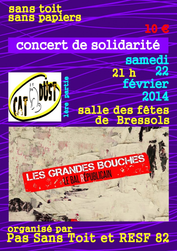 Concert de solidarité 2014 Pas Sans Toit / RESF 82 