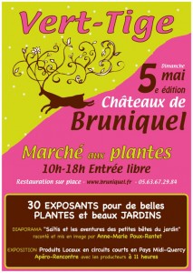 Marché aux Plantes à Bruniquel (82)